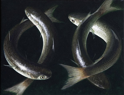 En Tourant by Anthony Ackrill