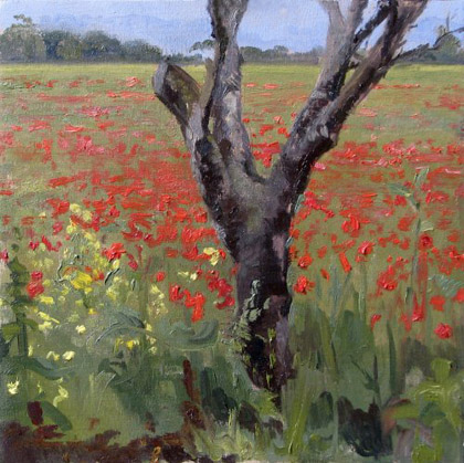 Poppy Fields by Melissa Franklin Sanchez