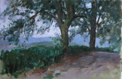 Road to Reschio by Ben Fenske