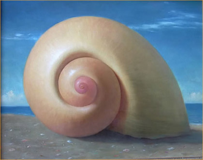 Shell by Anthony Ackrill